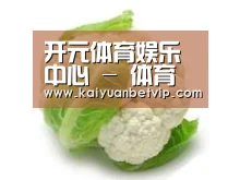 产品名称九