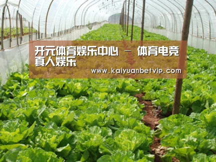 种植基地五