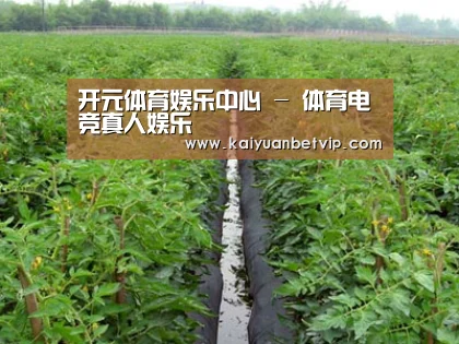 种植基地三