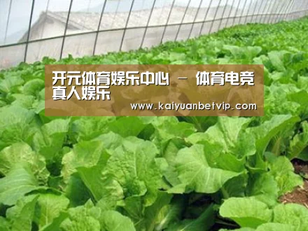 种植基地一