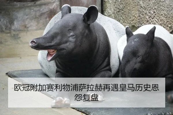 欧冠附加赛利物浦萨拉赫再遇皇马历史恩怨复盘