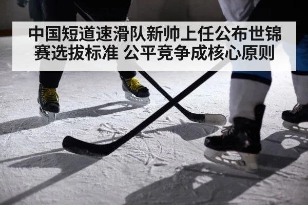 ice hockey player action